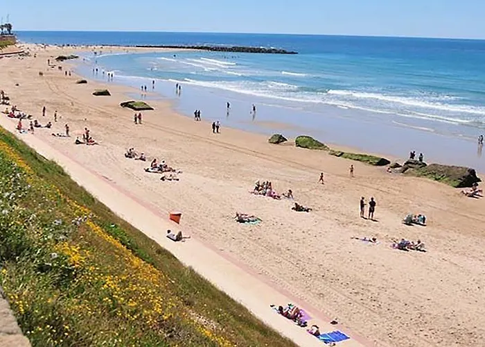 Novena Little Cadice