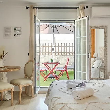 Novena Little 加的斯