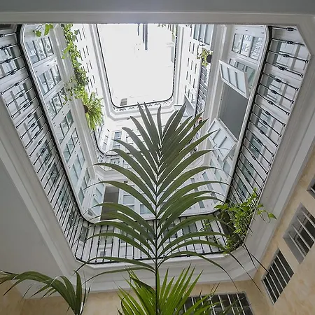 Novena Little Cádiz